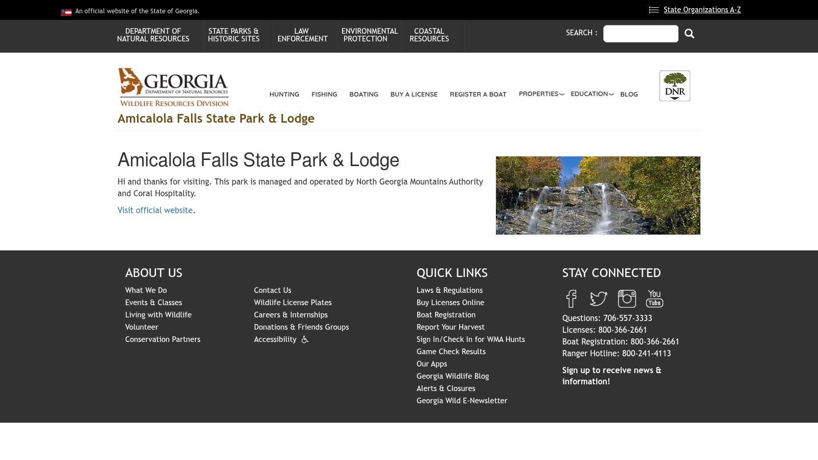 Amicalola Falls State Park: The Towering Waterfall